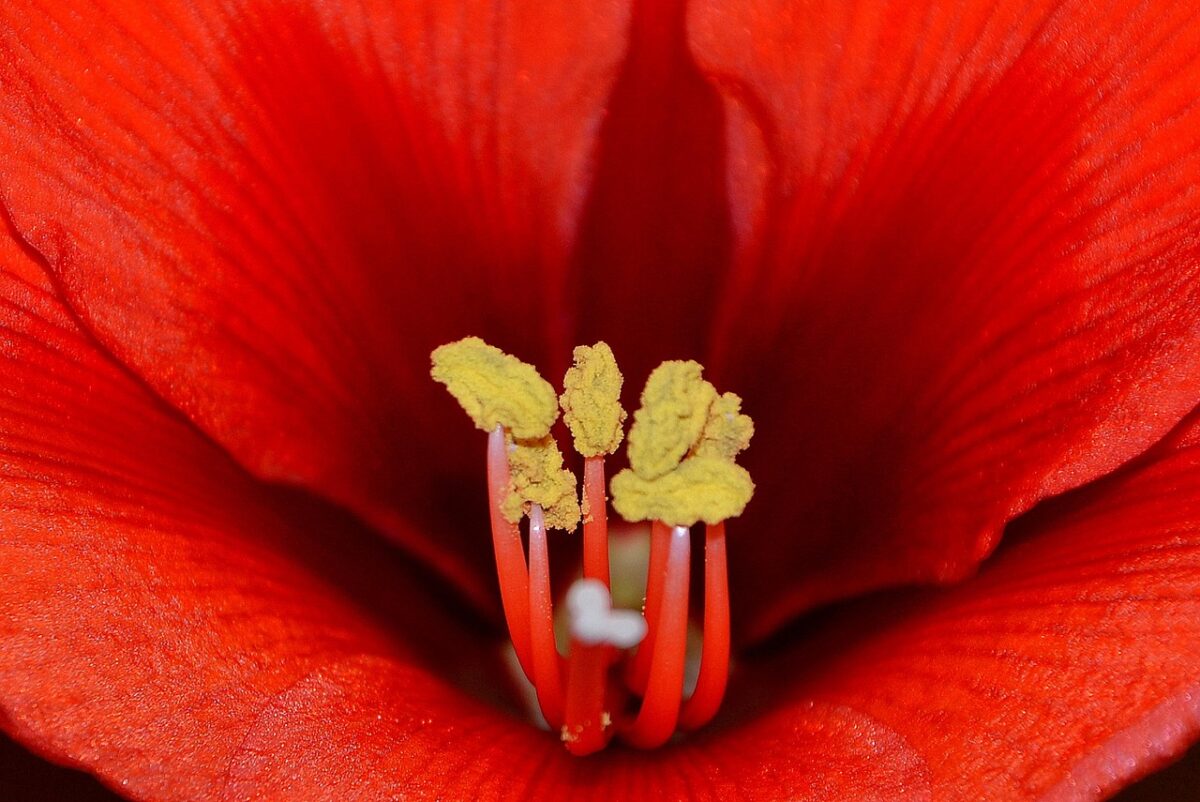 Causes and Treatment of Epidemic Conjunctivitis