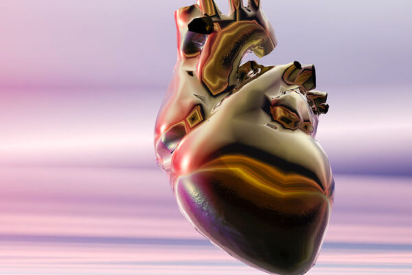 Train your heart to believe
