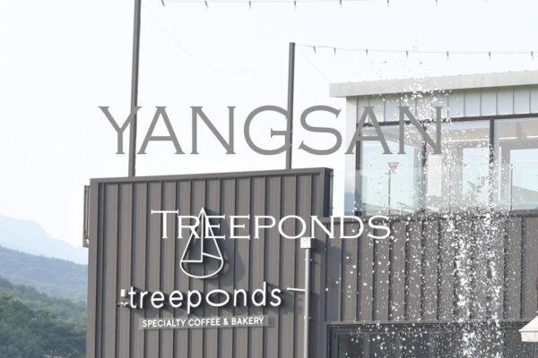 Treeponds