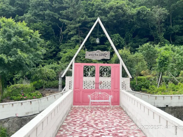 양산 느티나무의 사랑카페 라벤더 