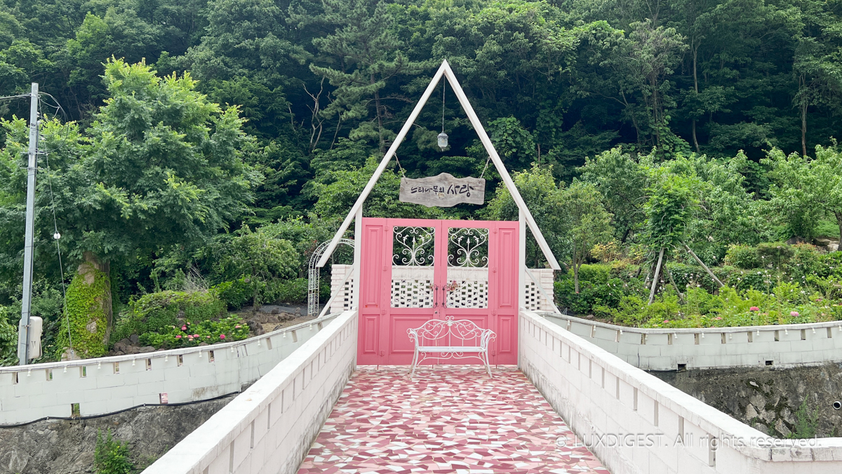 Love Beneath the Zelkova, Yangsan 250620