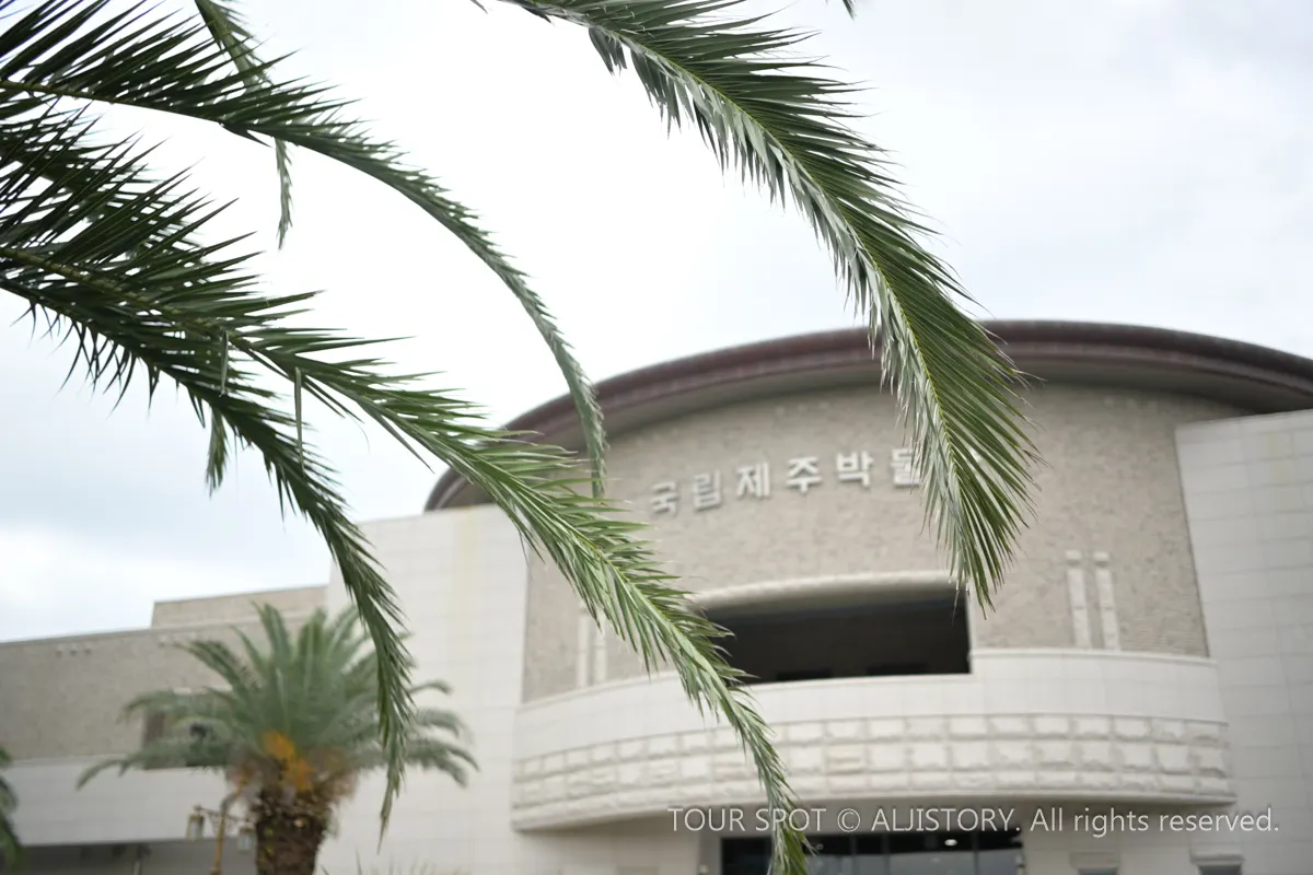 Discover a Different Side of Jeju at the Jeju National Museum