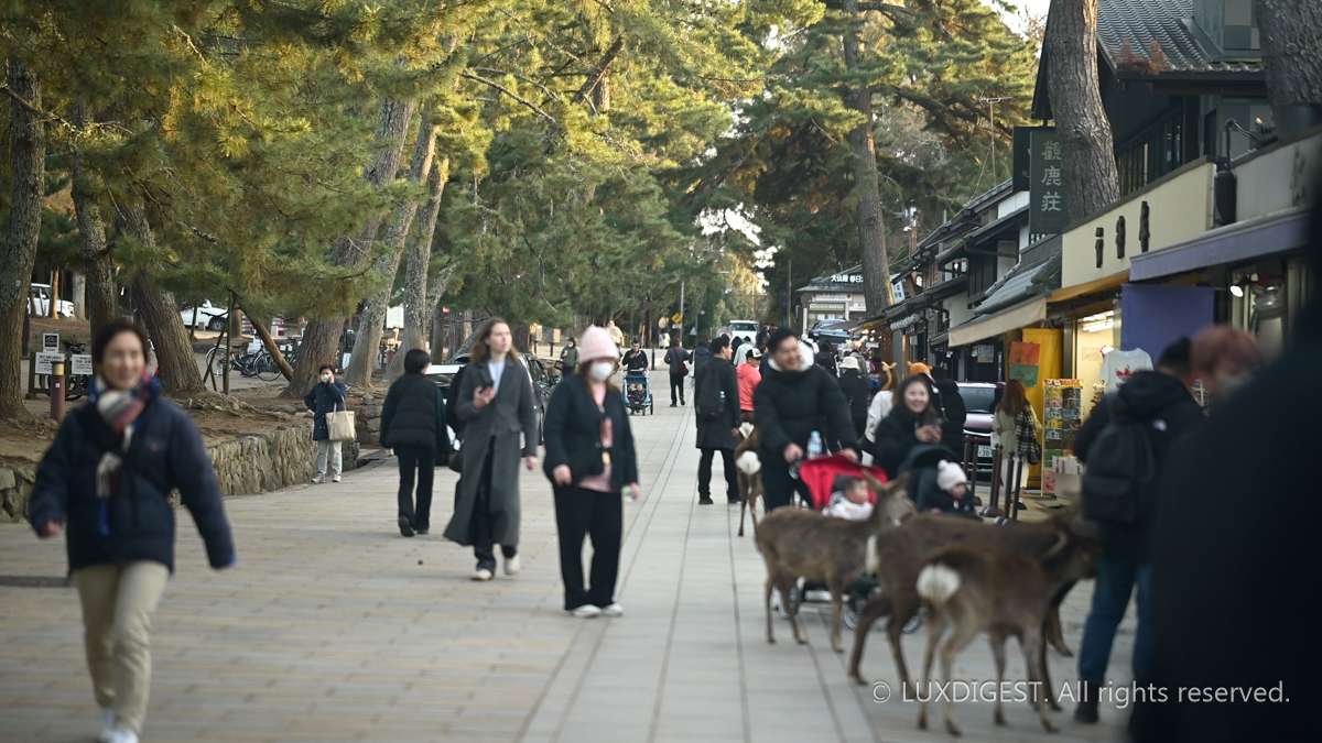 Dodaiji temple in nara 260314