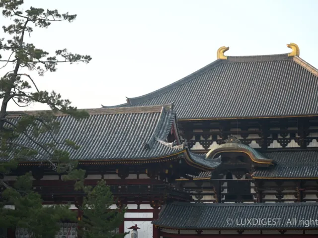 동대사 인생사진 남길 수 있는 포인트