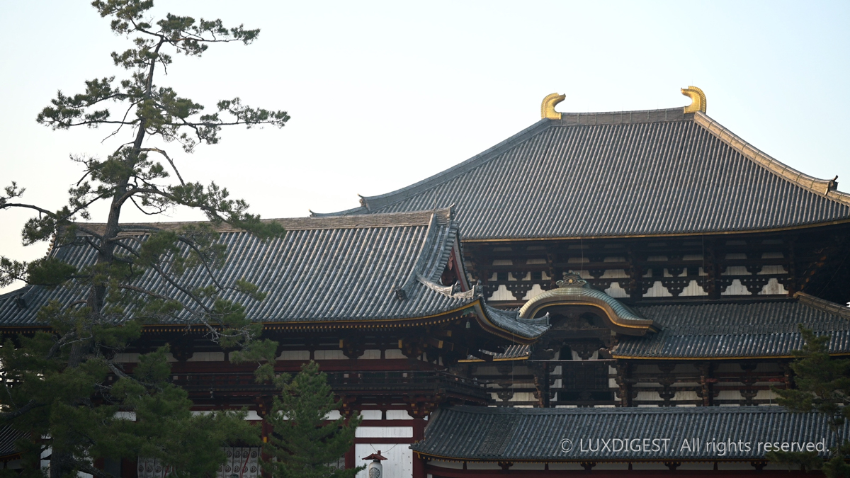 Dodaiji temple in nara 260314