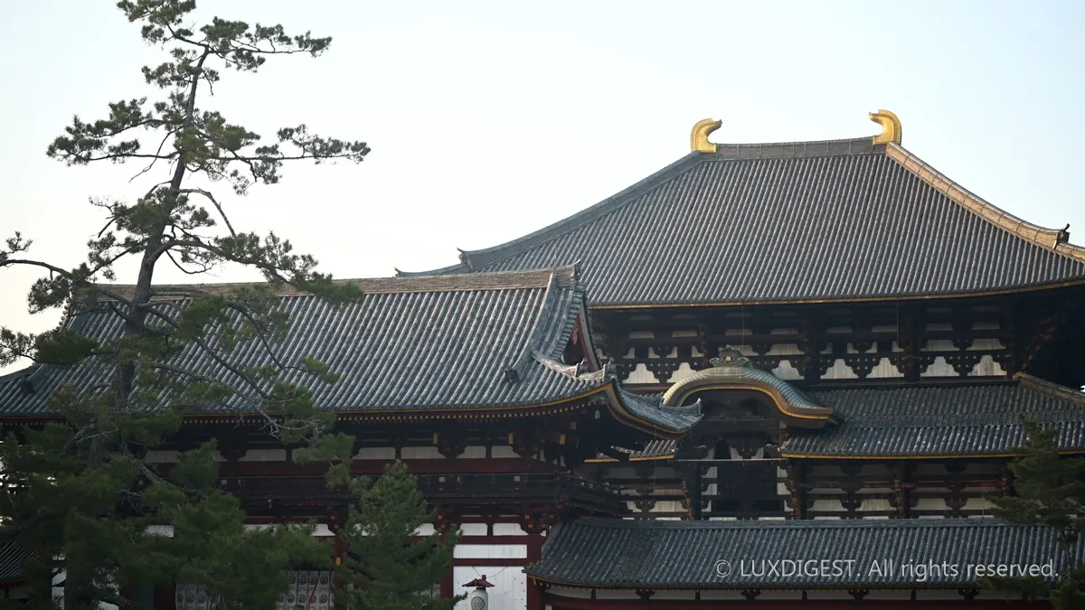 동대사 인생사진 남길 수 있는 포인트