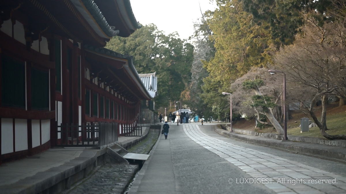 Dodaiji temple in nara 260314