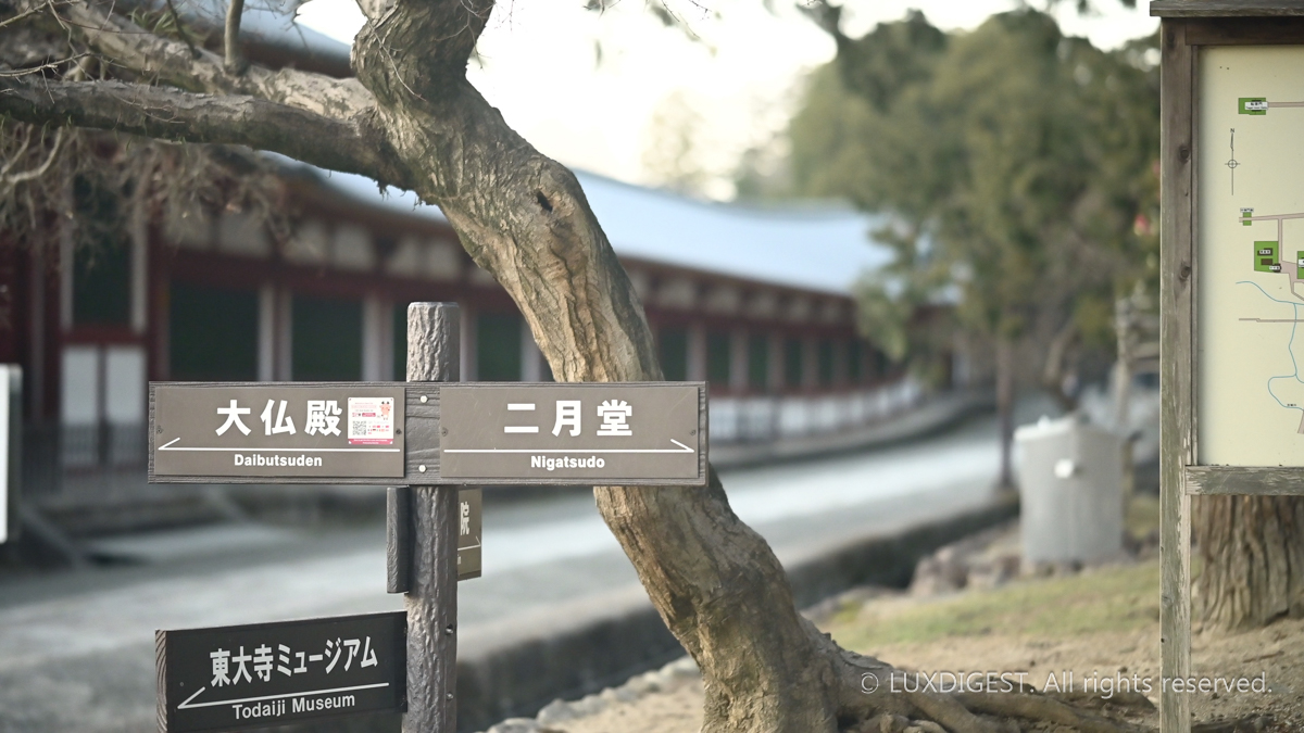 Dodaiji temple in nara 260314