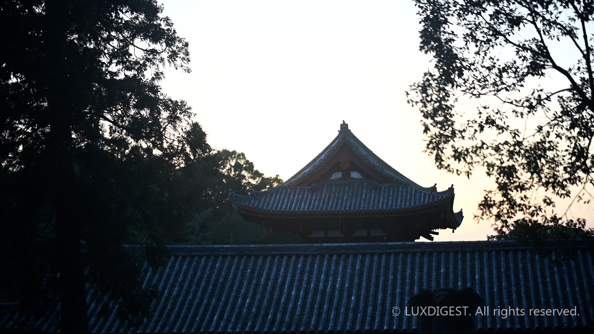 Dodaiji temple in nara 260314