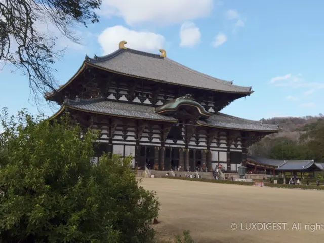 Nara Travel Guide: The Ultimate 2-Day Itinerary
