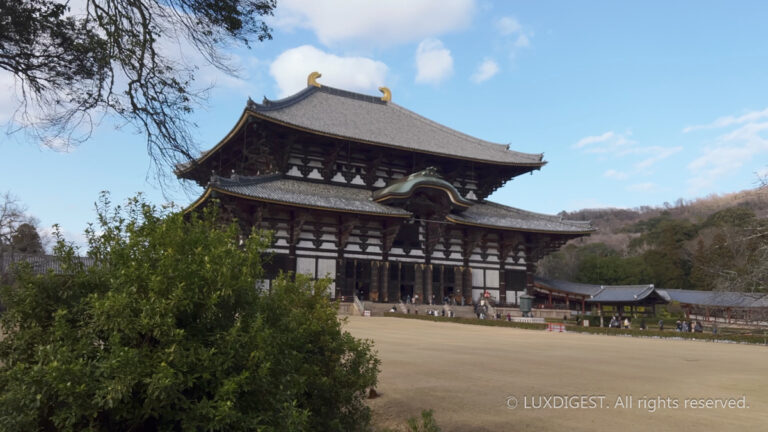 Dodaiji temple in nara 260314