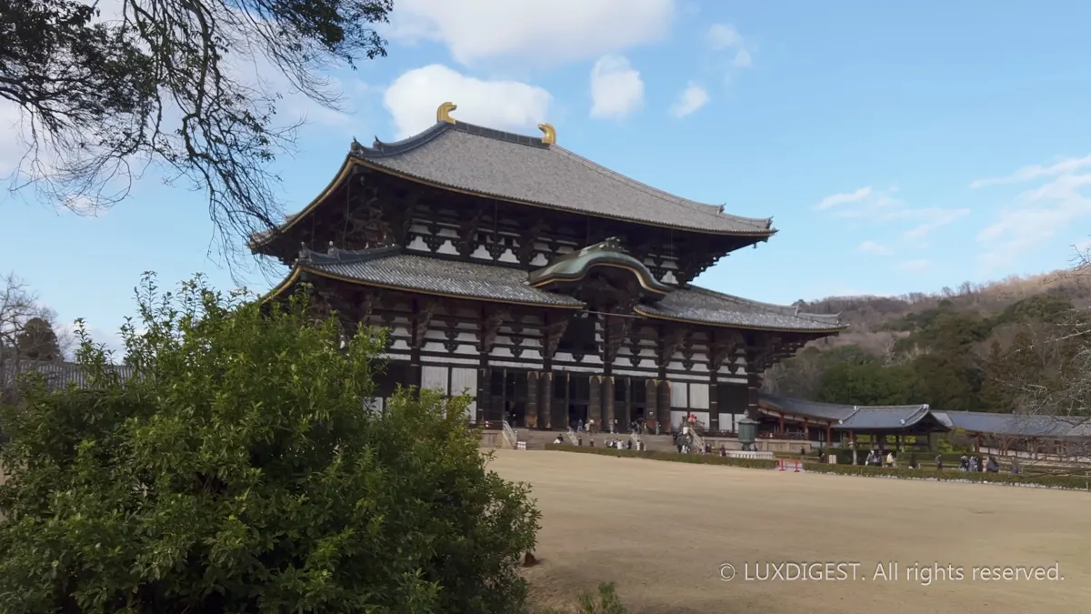 Nara Travel Guide: The Ultimate 2-Day Itinerary