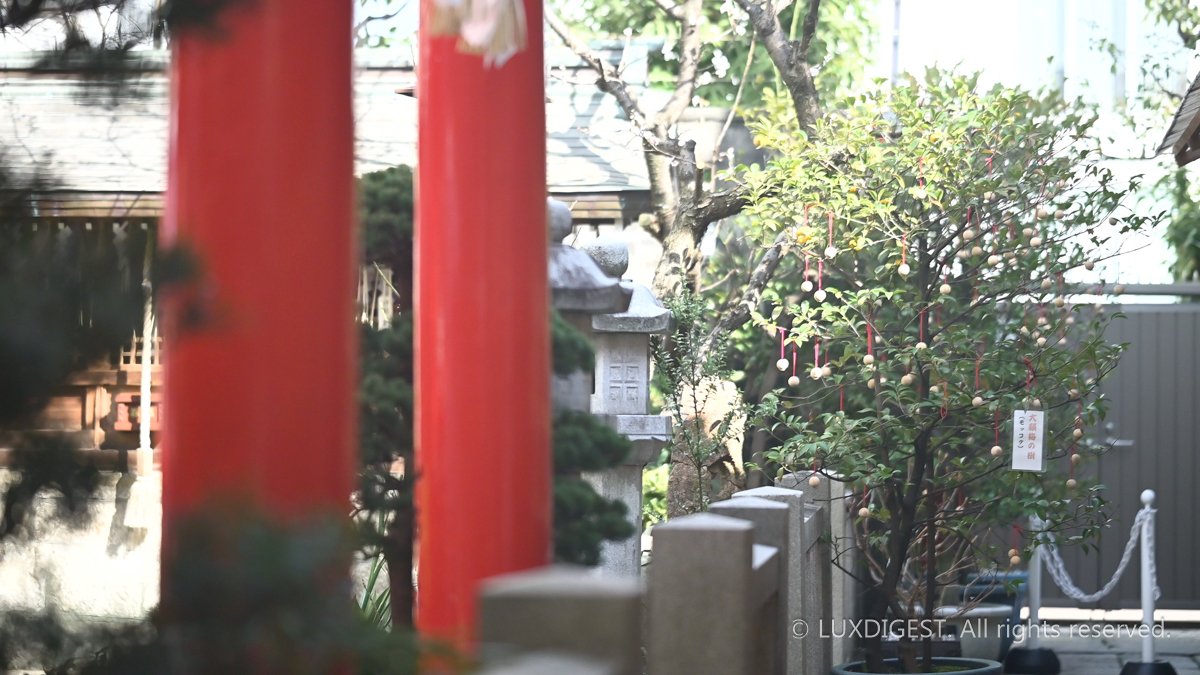 Nishikitenmangu SHRINE IN KYOTO 260514