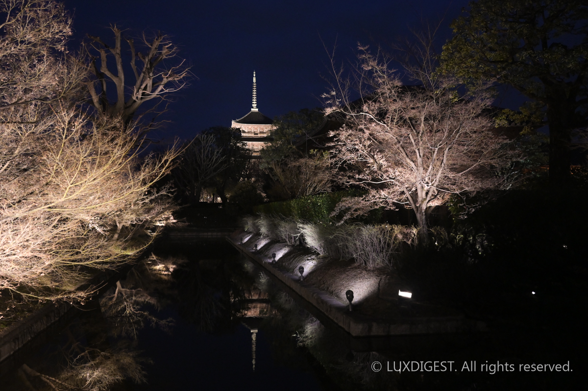 Toji Temple in Kyoto 260306