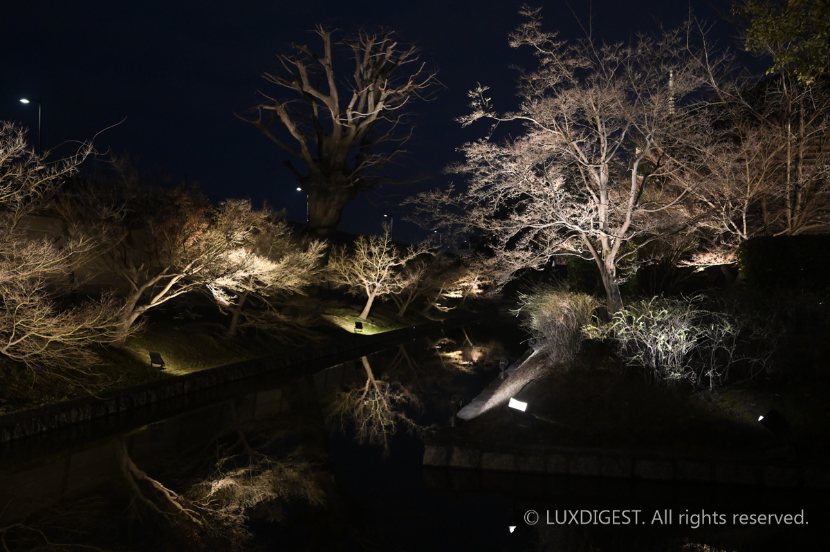 Toji Temple in Kyoto 260306