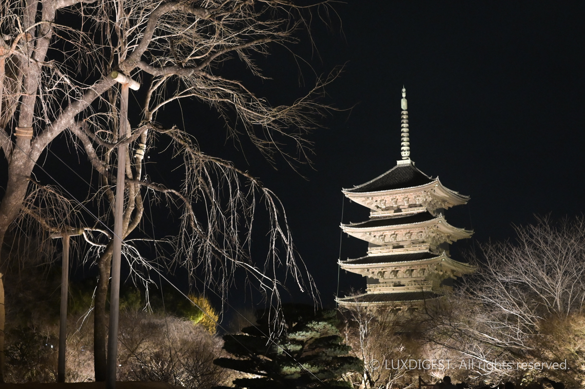 Toji Temple in Kyoto 260306