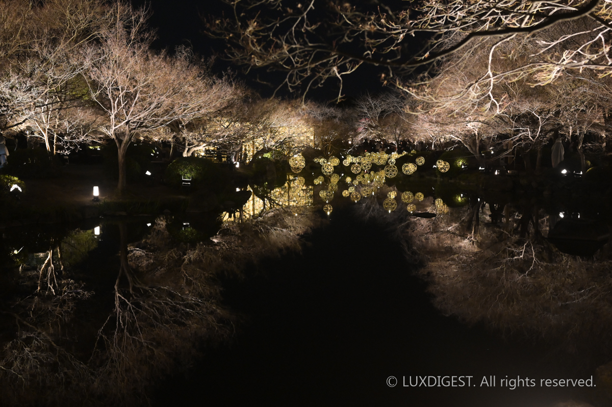 Toji Temple in Kyoto 260306