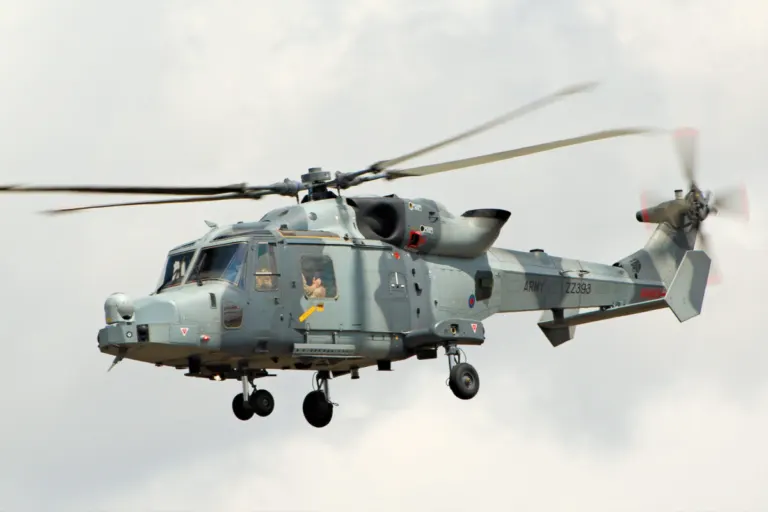 Wildcat RIAT 2019 48706826346 scaled