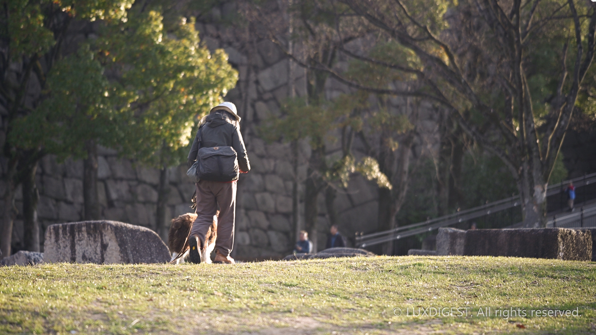 Osaka castle in osaka 260315