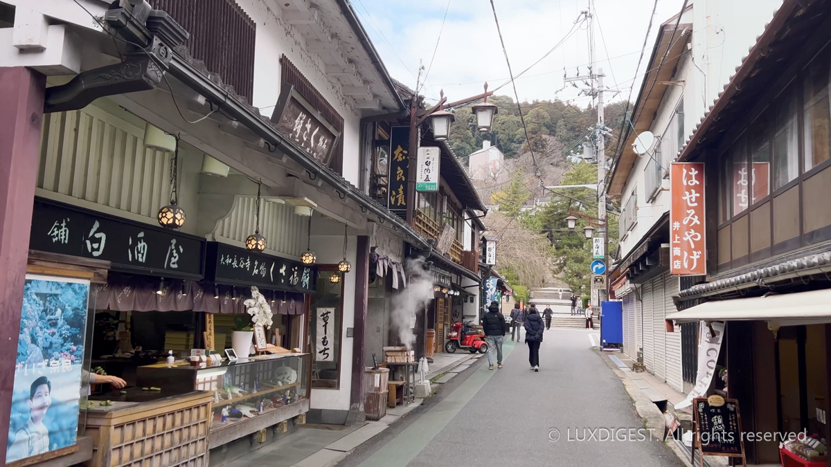 Hasedera temple in nara 260313