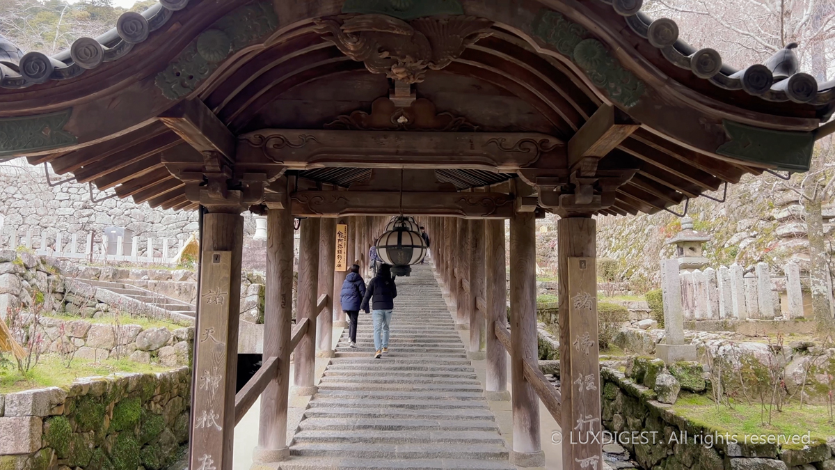 Hasedera temple in nara 260313