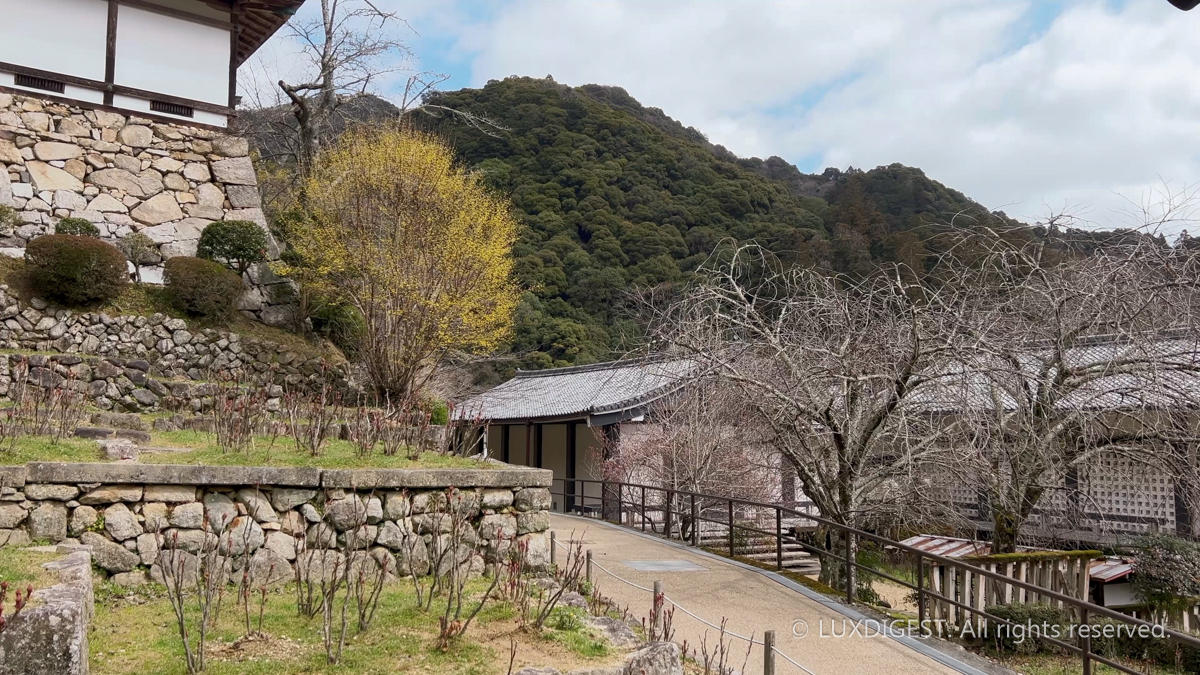 Hasedera temple in nara 260313