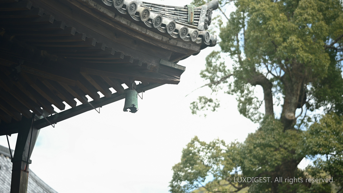 Hasedera temple in nara 260313