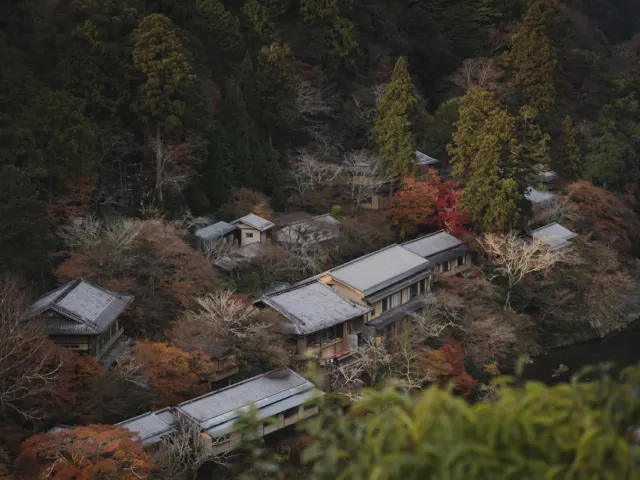 일본 관광, 새로운 매력과 변화의 시대를 맞이하다