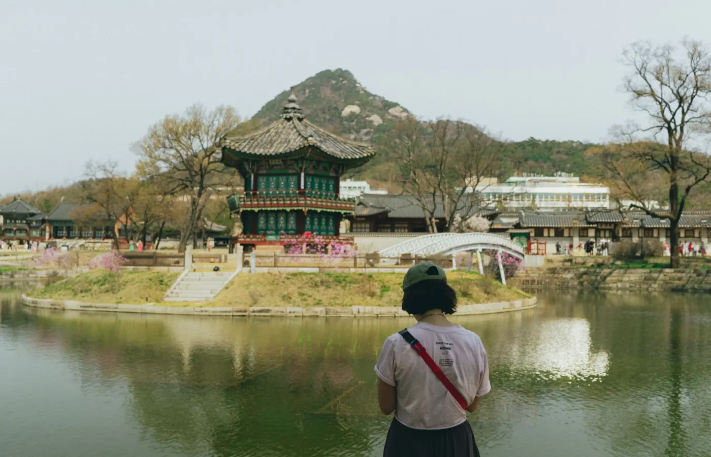 AI와 고비용 시대, 한국여행의 인기 상승 배경
