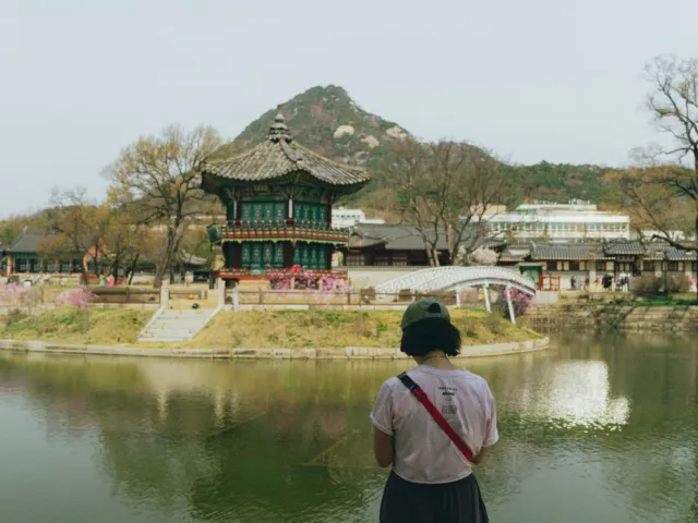 AI와 고비용 시대, 한국여행의 인기 상승 배경