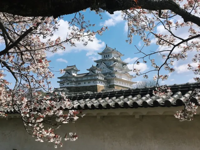 일본 성, 역사 속으로의 여행과 숙박 경험