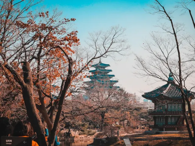 OECD, 2025년 한국 외래객 1,890만명 전망