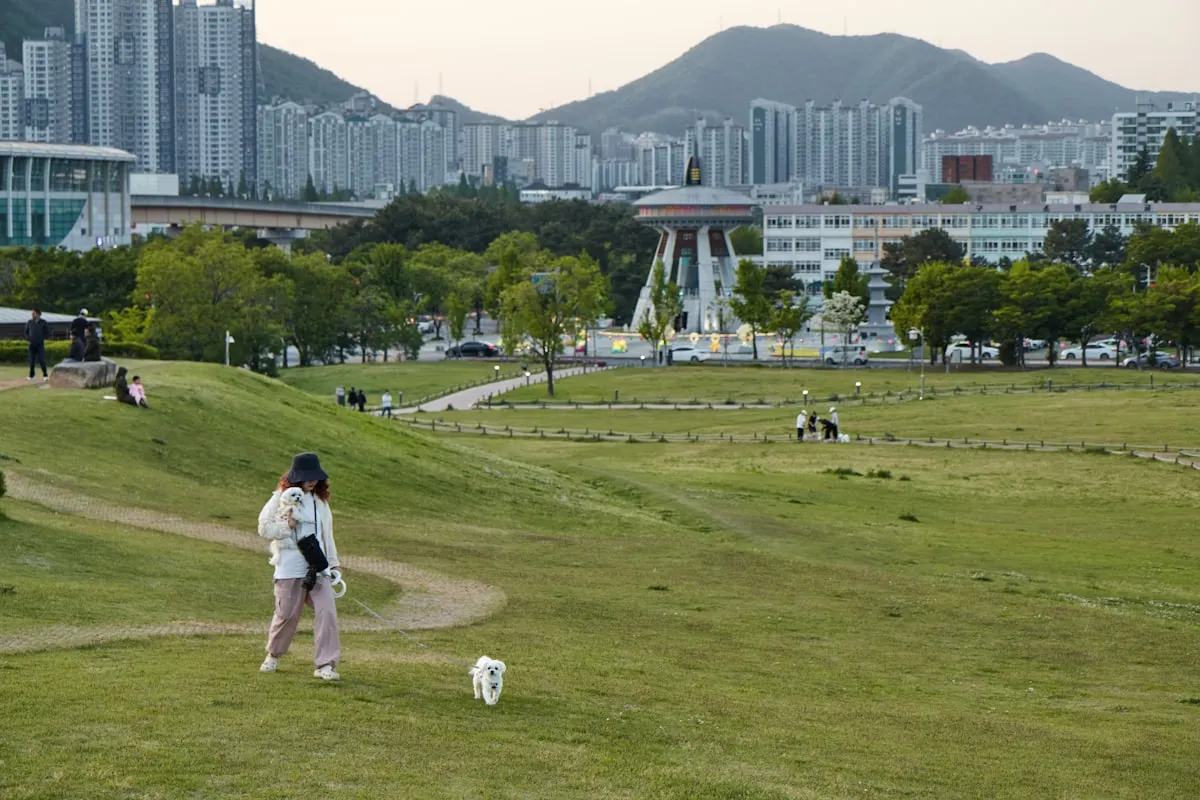 KLPGA 챔피언십, 메이저 우승 도전하는 대표 선수들
