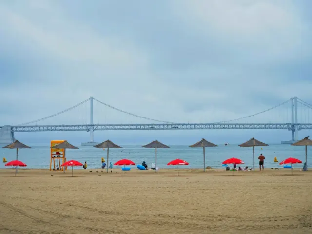 방한 외국인, 서울을 넘어 부산·속초·경주로 확산