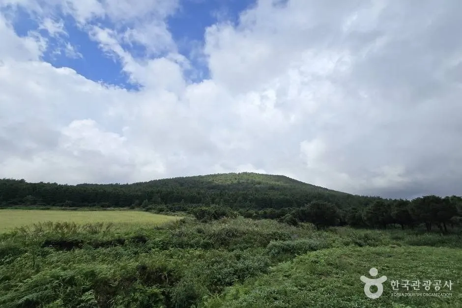 거슨새미오름 거슨세미(세미오름, 샘오름)_e (5)