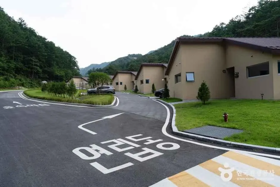국립금산자연휴양림 충남_금산_국립금산자연휴양림_외부_1.jpg