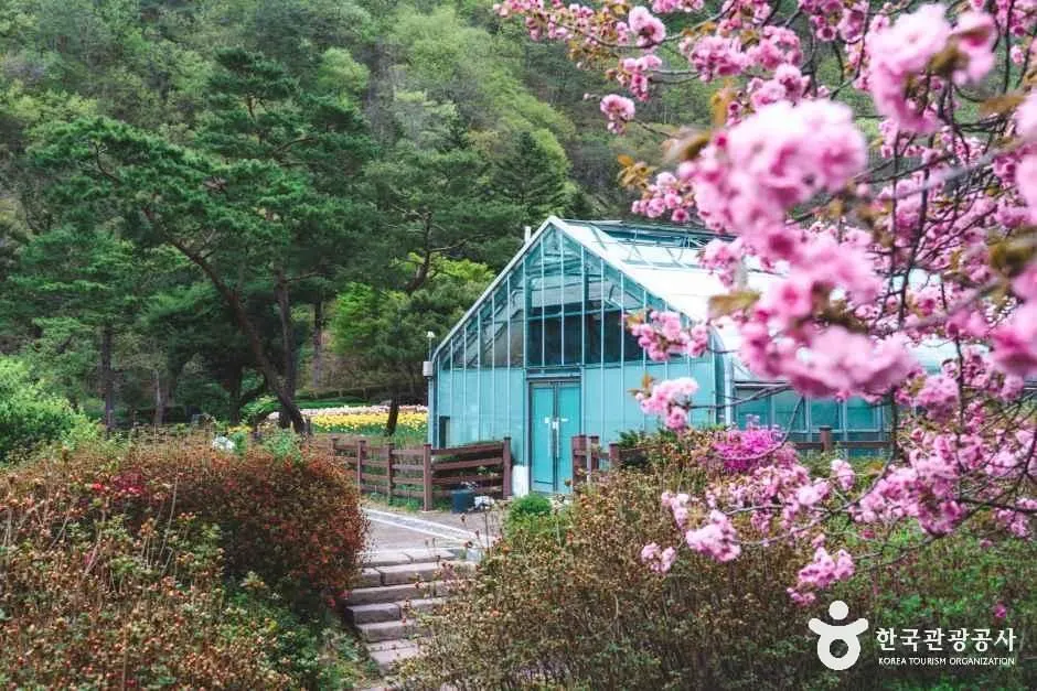 대아수목원 전북_완주_대아수목원_분재원2.jpg