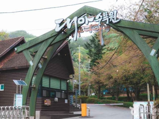 “단풍보다 식물이 더 많네요”… 대아수목원, 2,683종 공립수목원