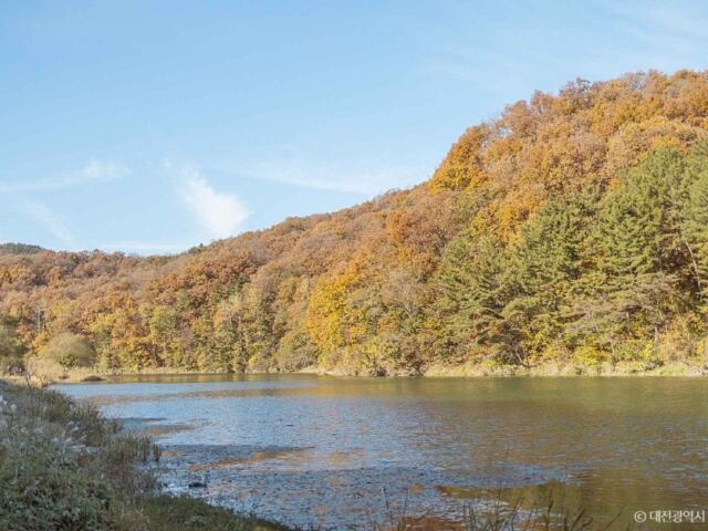 “걷다 보니 4.5km입니다”… 상보안 유원지, 물가에서 시작하는 길