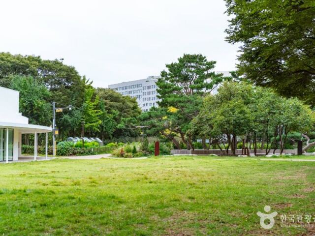 “공원인데 실내놀이터까지 있습니다”… 신트리공원, 숲과 놀이를 한자리에서 만나는 곳입니다