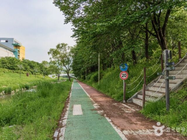 “소원을 적을 다리가 생겼습니다”… 여의천, 새 수변카페와 벚꽃길