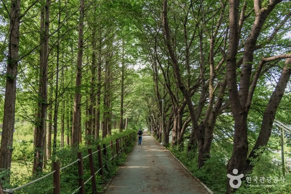 여의천 서울_여의천 (2)