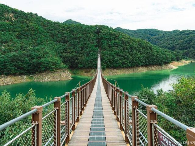 “다리가 호수 위에서 살짝 흔들립니다”… 제천 옥순봉 출렁다리, 222m 산책