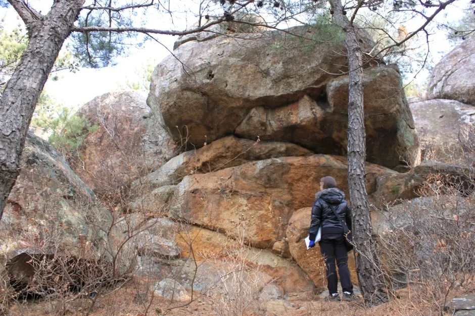 철암산 화석산지 (경북 동해안 국가지질공원) 철암산 화석산지_3_국가지질공원