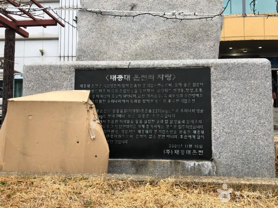 태종대온천찜질방 부산_태종대온천찜질방 (3)
